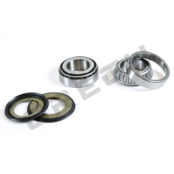 Sada ložísk a gufier krku riadenia