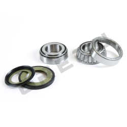 Sada ložísk a gufier krku riadenia