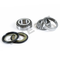 Sada ložísk a gufier krku riadenia