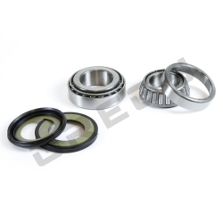 Sada ložísk a gufier krku riadenia