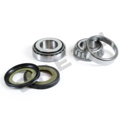 Sada ložísk a gufier krku riadenia