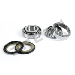 Sada ložísk a gufier krku riadenia