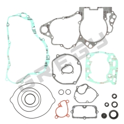 Sada tesnení SUZUKI RM 250 03