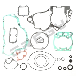 Sada tesnení SUZUKI RM 250 06
