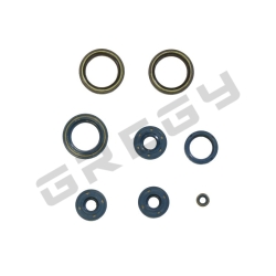 Sada gufier motora APRILIA RS 125