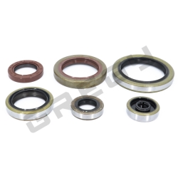 Sada gufier motora BETA RR 250/300 2T