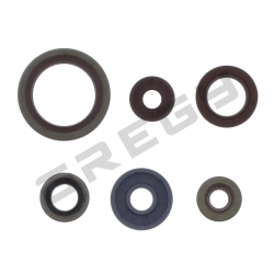 Sada gufier motora BETA RR 350 4T