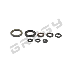 Sada gufier motora HONDA CRF 150