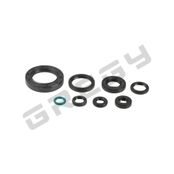 Sada gufier motora HONDA CR 250