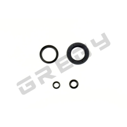 Sada gufier motora HONDA XR 650