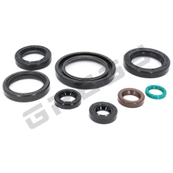 Sada gufier motora HONDA CRF 250