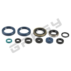 Sada gufier motora KAWASAKI KXF 250