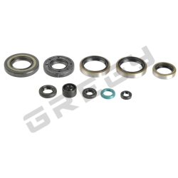 Sada gufier motora KAWASAKI KX 250