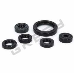 Sada gufier motora KAWASAKI KXF 450