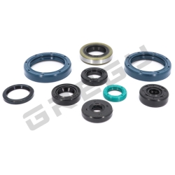 Sada gufier motora KAWASAKI KXF 250