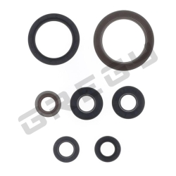 Sada gufier motora KTM 350 SXF 23