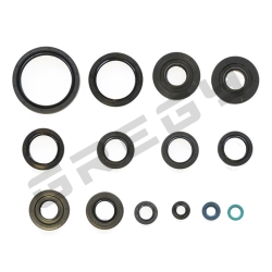 Sada gufier motora KAWASAKI BF 750