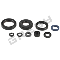 Sada gufier motora KAWASAKI KX 125