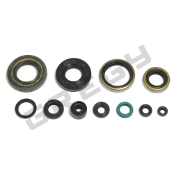 Sada gufier motora KAWASAKI KX 250