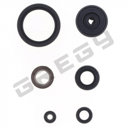 Sada gufier motora YAMAHA YZF 450 23