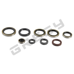 Sada gufier motora KTM 250/300 EXC