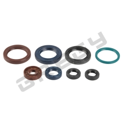 Sada gufier motora KTM 250 SXF