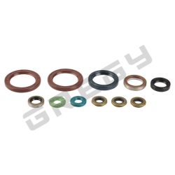 Sada gufier motora KTM 450 SXF