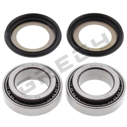 Sada ložísk a gufier krku riadenia