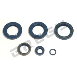 Sada gufier motora KTM 620 LC4