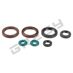 Sada gufier motora KTM 450 EXCR