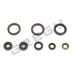 Sada gufier motora KTM 450 EXC