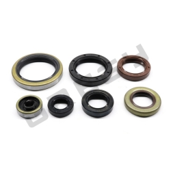 Sada gufier motora KTM/HSQ 250/300 2T
