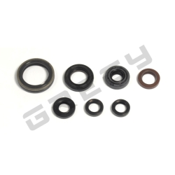 Sada gufier motora YAMAHA YZF 250