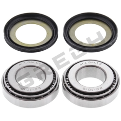 Sada ložísk a gufier krku riadenia