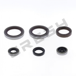 Sada gufier motora BETA RR 125 18