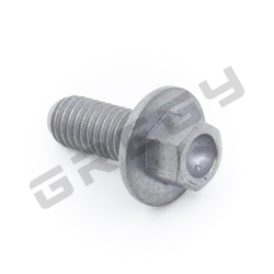 Skrutka M5x12 SW6