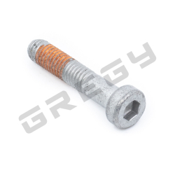 Skrutka M5x25 H4 + LCT