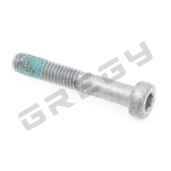 Skrutka M5x30 H4 + LCT