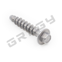 Skrutka K60x30 Plasty