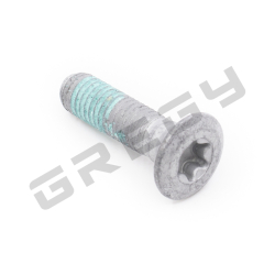 Skrutka M8x30 TX45 + LCT