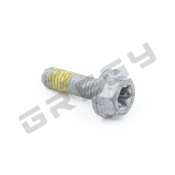 Skrutka M5x16 TX30 + LCT