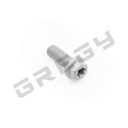 Skrutka M6x16 TX30
