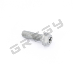 Skrutka M6x20