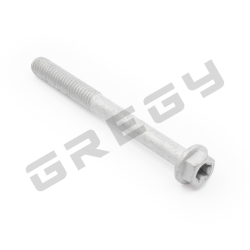Skrutka M6x60