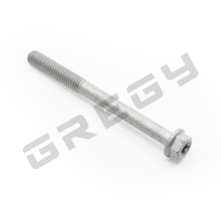 Skrutka M6x65