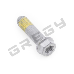 Skrutka M8x30 TX40 + LCT