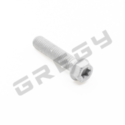 Skrutka M8x35 TX40