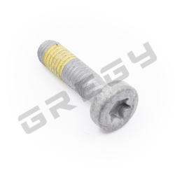 Skrutka M8x30 TX45 + LCT