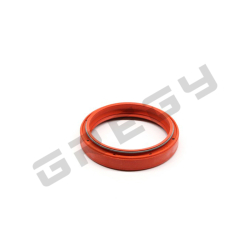 Gufero 48mm SKF Rd (1ks)