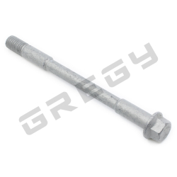 Skrutka M10x123 WS13